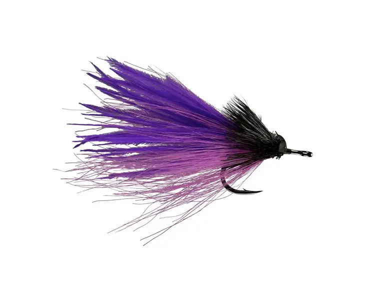 Rio RIO's Dread Pirate