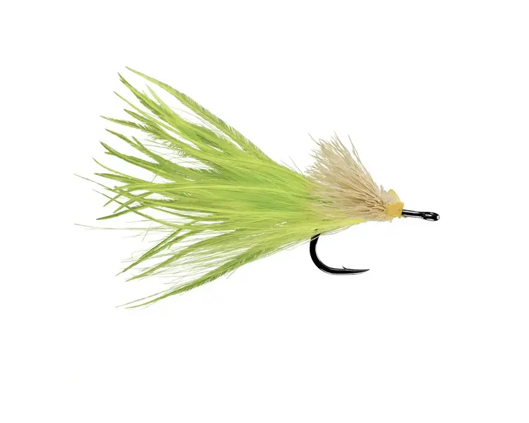 Rio RIO's Dread Pirate