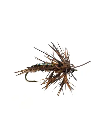 Rio Speculator Brown Sz 6