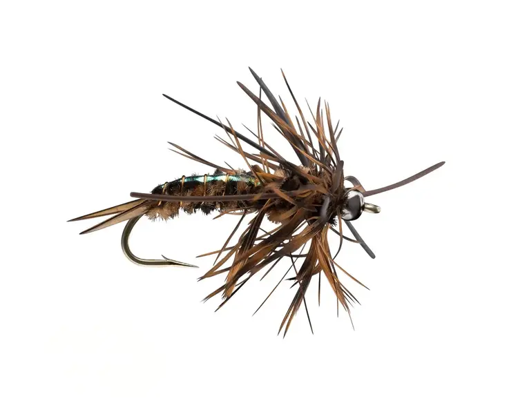 Rio Speculator Brown Sz 6