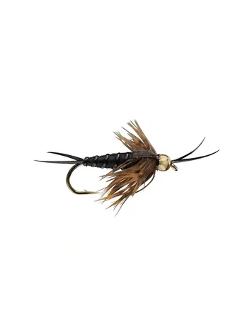 Rio Beadhead Stonefly Black
