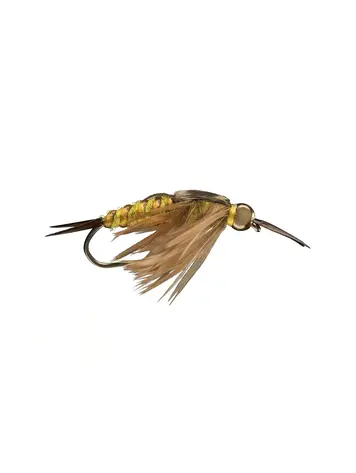 Rio Beadhead Stonefly Golden