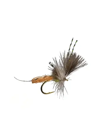 Rio Extendo BWO