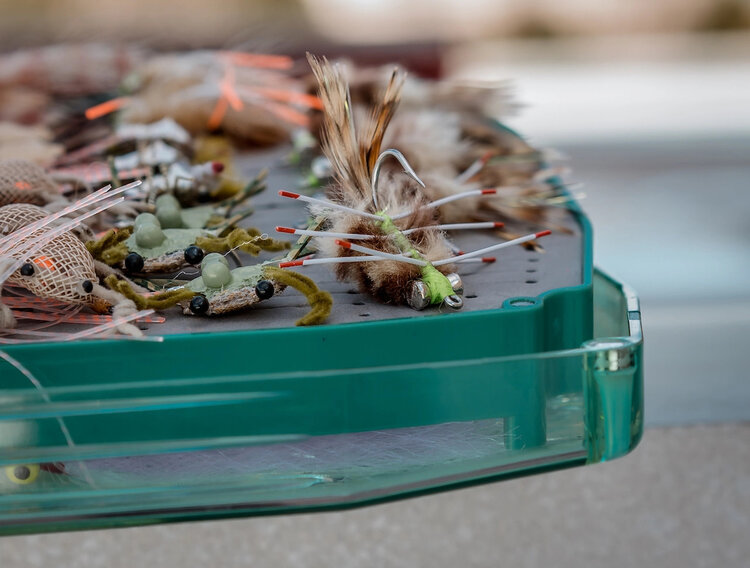 Umpqua Feather Merchants Tiemco TMC 811S