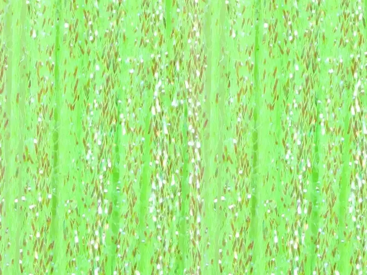 Salar Synthetic Series Salar Synthetic Series SSS Braid