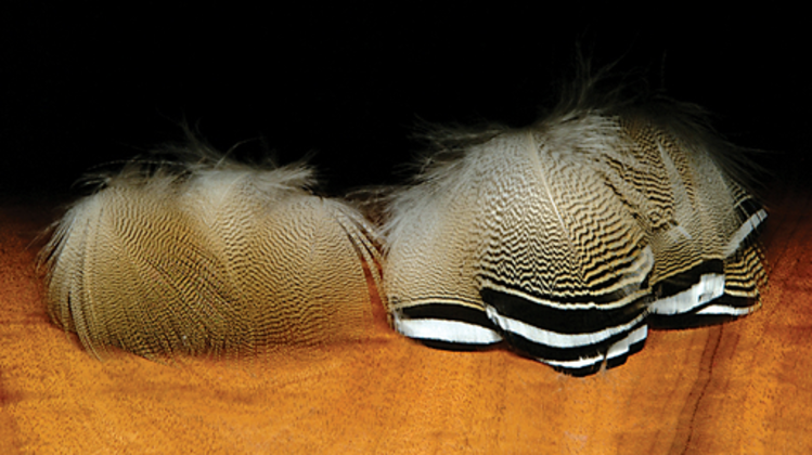 Nature's Spirit Wood Duck Feathers
