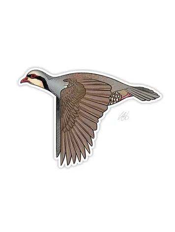 Casey Underwood Casey Underwood Bird Sticker Chukar