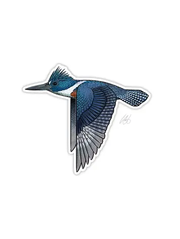 Casey Underwood Casey Underwood Bird Sticker Kingfisher