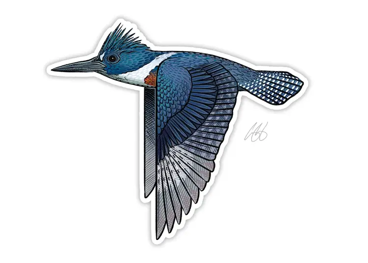 Casey Underwood Casey Underwood Bird Sticker Kingfisher