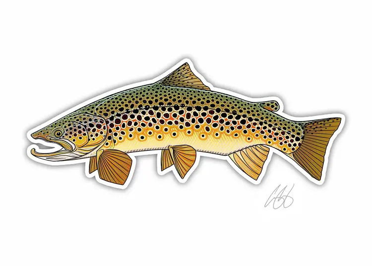 Casey Underwood Casey Underwood Fish sticker Brown Trout