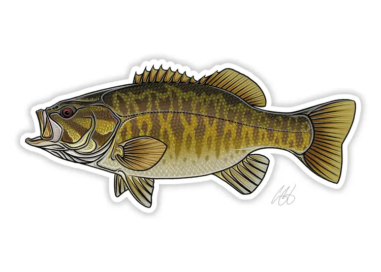 Casey Underwood Casey Underwood Fish sticker Smallmouth Bass