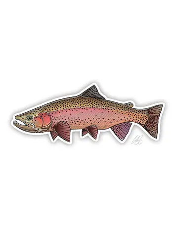 Casey Underwood Casey Underwood Fish sticker Spring Rainbow