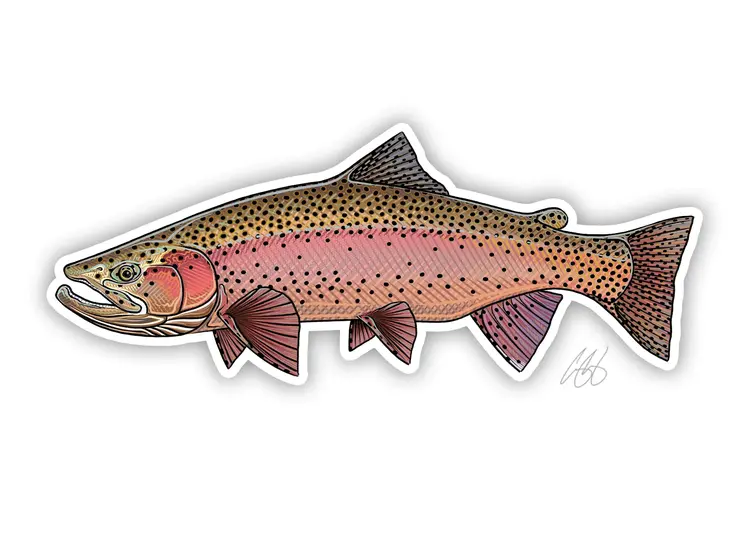 Casey Underwood Casey Underwood Fish sticker Spring Rainbow