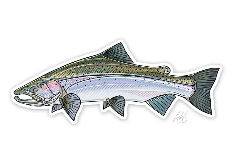 Casey Underwood Casey Underwood Fish sticker Steelhead