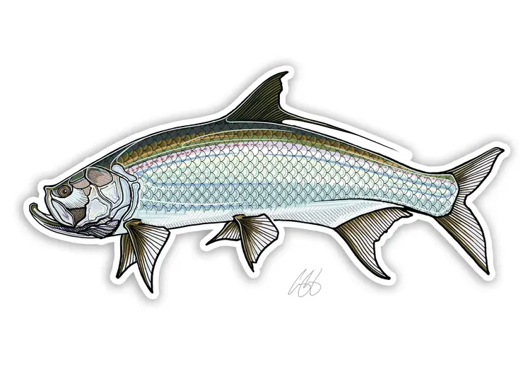 Casey Underwood Casey Underwood Fish sticker Tarpon