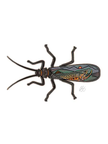 Casey Underwood Casey Underwood Large Sticker Salmonfly Scape