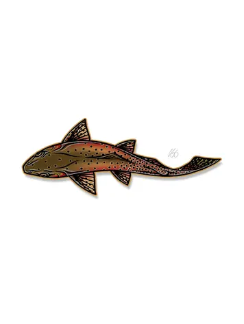 Casey Underwood Casey Underwood Large Sticker Swimming Cutthroat