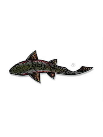 Casey Underwood Casey Underwood Large Sticker Swimming Rainbow