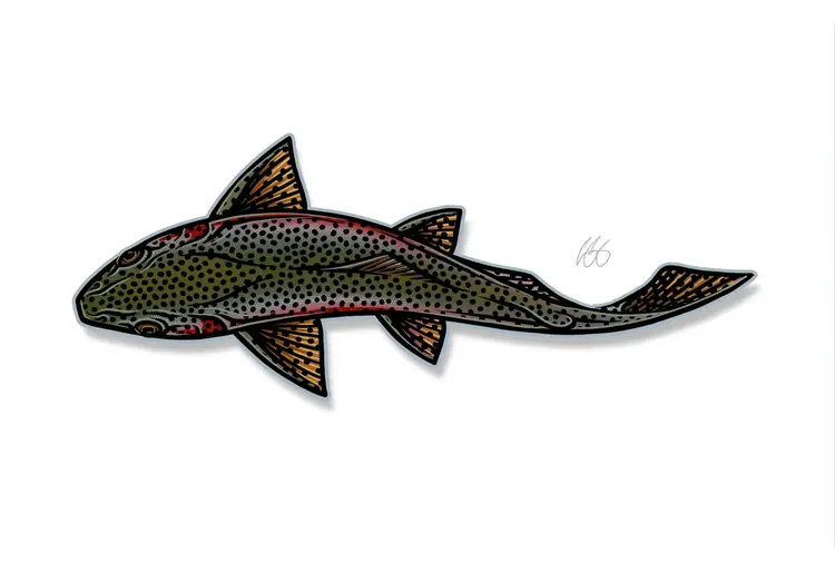 Casey Underwood Casey Underwood Large Sticker Swimming Rainbow