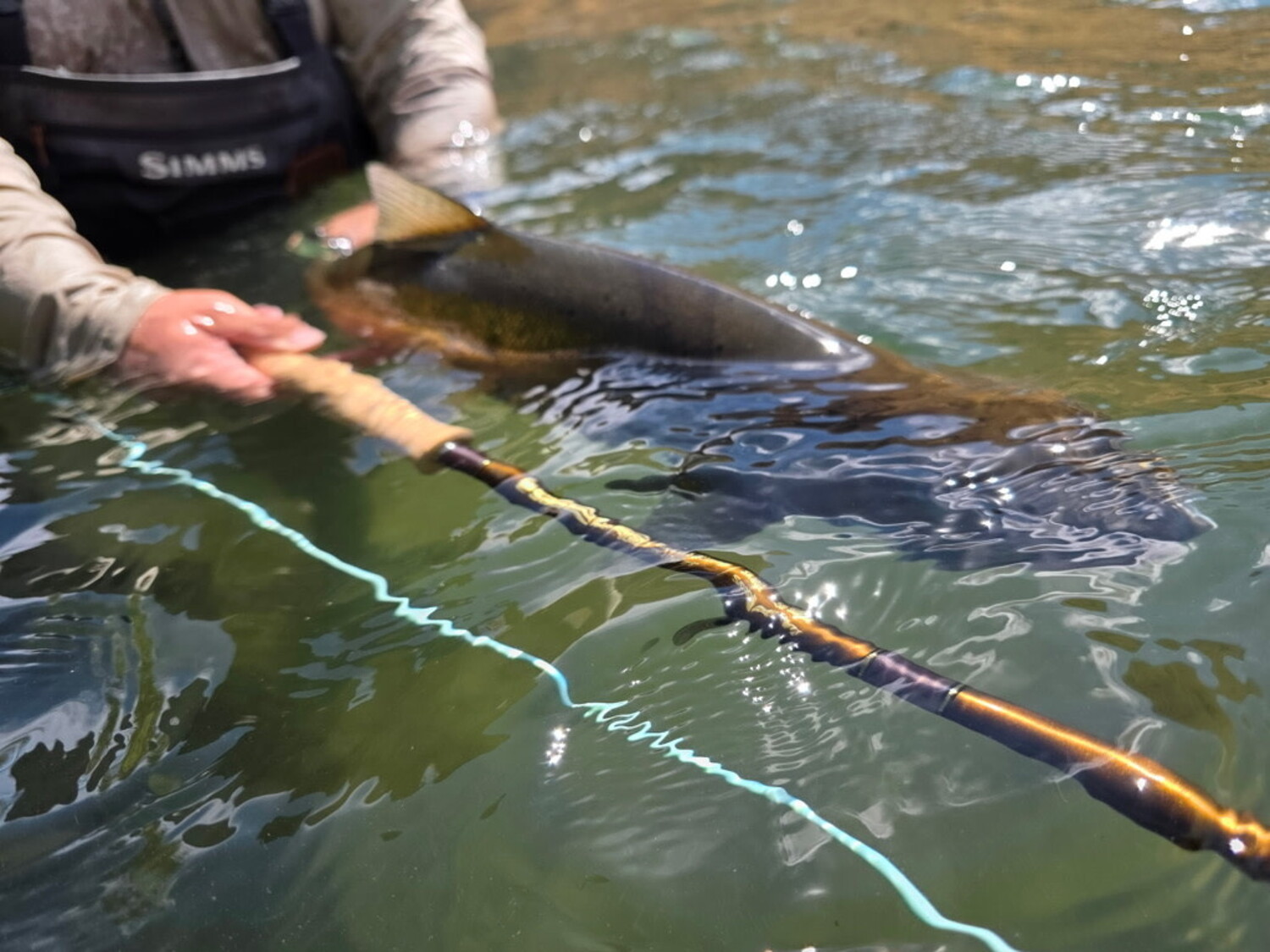 SAGE R8 Spey - Royal Treatment Fly Fishing