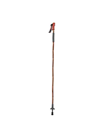 Fishpond Fishpond Grass Sticks Wading Staff