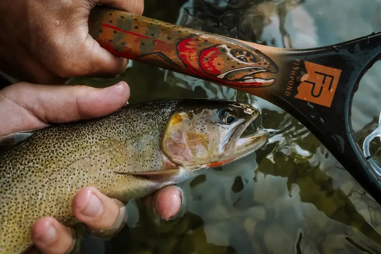 Fishpond Fishpond Nomad Canyon Net - Colorado Cutty