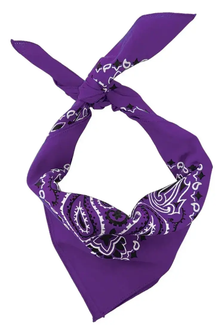 The Bandanna Company The Bandanna Company, Purple Paisley, 22" Bandanna