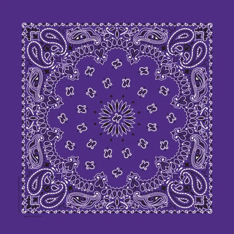 The Bandanna Company The Bandanna Company, Purple Paisley, 22" Bandanna