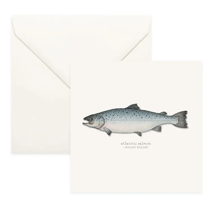 Yeesan Loh Atlantic Salmon Folded Card