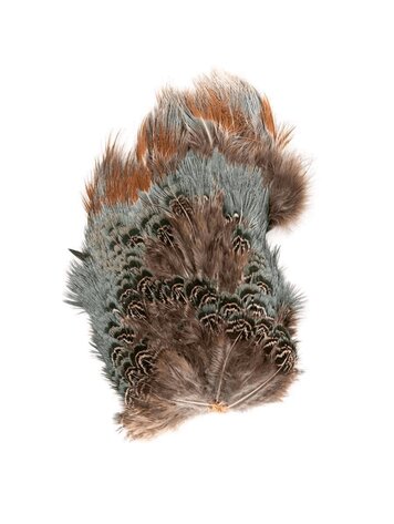 Wapsi Ringneck Rump Patch