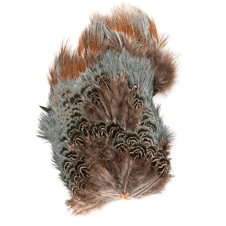 Wapsi Ringneck Rump Patch