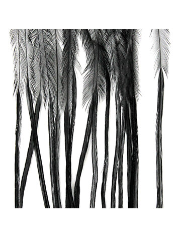 MFC MFC Whiting 100 Pack Medium Dun