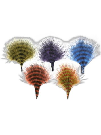 MFC MFC Barred Marabou