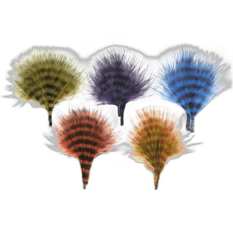 MFC MFC Barred Marabou