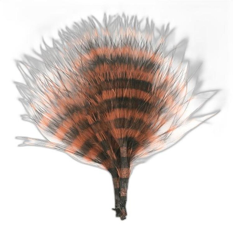 MFC MFC Barred Marabou