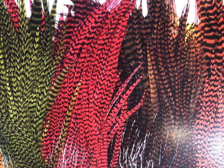 Wapsi Ewing Half Grizzly Rooster Saddle