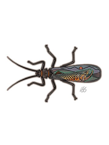 Casey Underwood Casey Underwood Large Sticker Salmonfly Scape