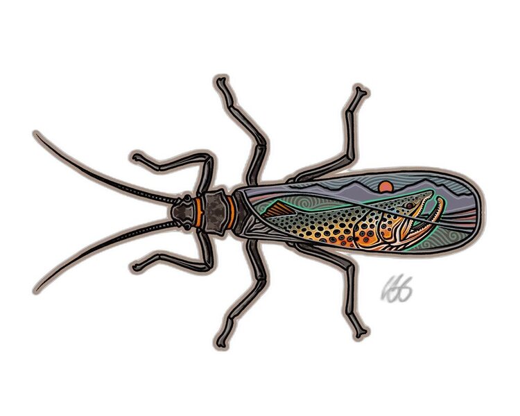 Casey Underwood Casey Underwood Large Sticker Salmonfly Scape