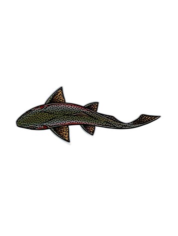 Casey Underwood Casey Underwood Large Sticker Swimming Rainbow