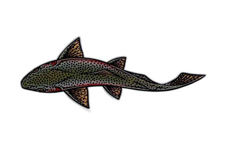 Casey Underwood Casey Underwood Large Sticker Swimming Rainbow