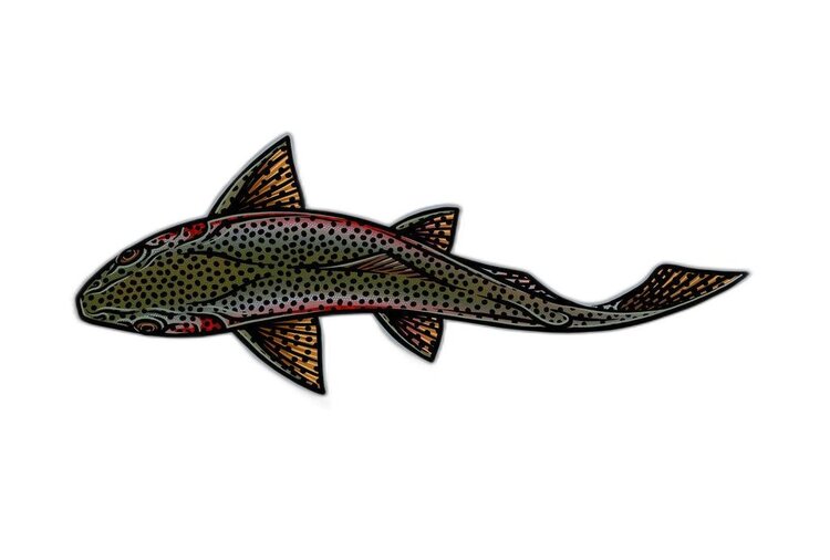 Casey Underwood Casey Underwood Large Sticker Swimming Rainbow