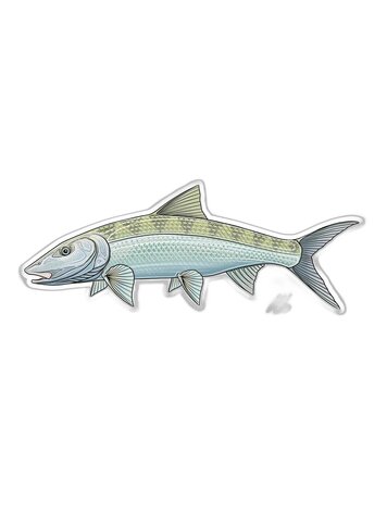Casey Underwood Casey Underwood Fish sticker Bonefish