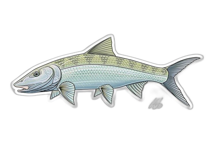 Casey Underwood Casey Underwood Fish sticker Bonefish