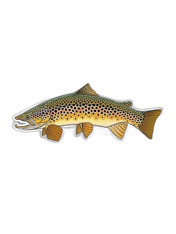 Casey Underwood Casey Underwood Fish sticker Brown Trout