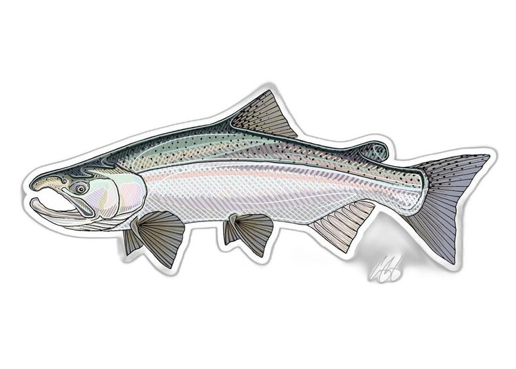 Casey Underwood Casey Underwood Fish sticker Coho Salmon