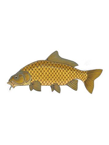 Casey Underwood Casey Underwood Fish sticker Common Carp