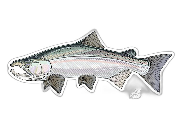 Casey Underwood Casey Underwood Fish sticker Native Coho