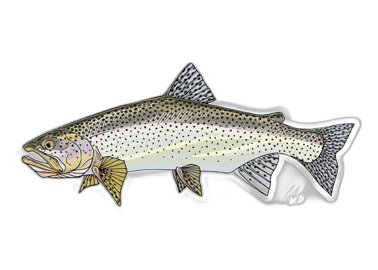 Casey Underwood Casey Underwood Fish sticker Sea Run Cutthroat