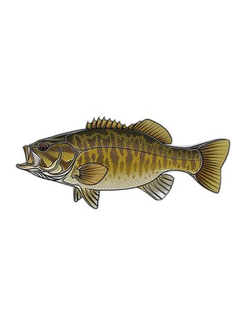 Casey Underwood Casey Underwood Fish sticker Smallmouth Bass