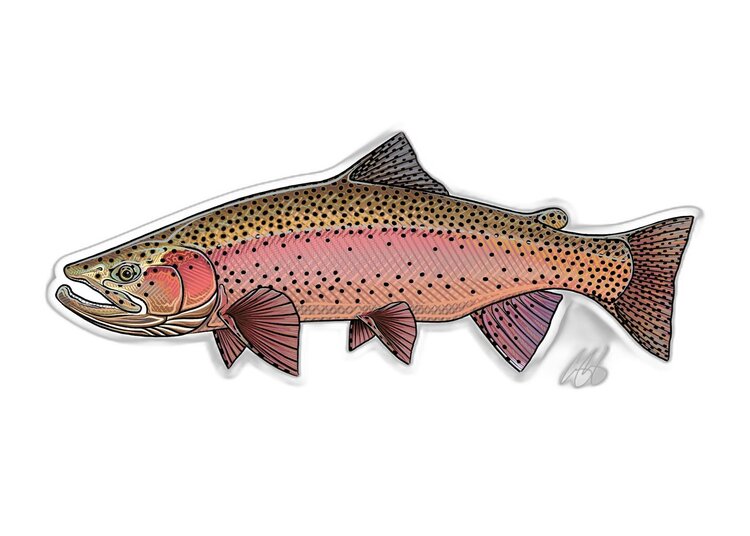 Casey Underwood Casey Underwood Fish sticker Spring Rainbow